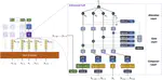 CofeNet: Context and Former-Label Enhanced Net for Complicated Quotation Extraction